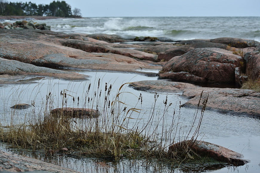 Rugged rocky coastline with tide pools and wild grasses