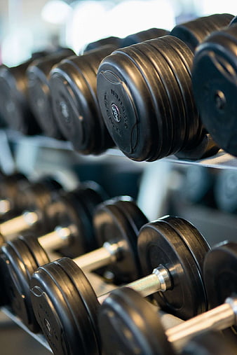 Close-up of black dumbbells on a gym rack