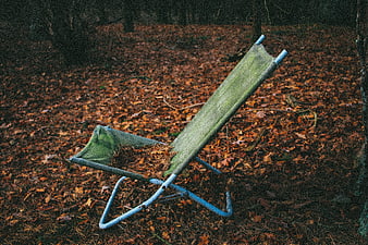 Empty green folding chair in autumn forest with fallen leaves