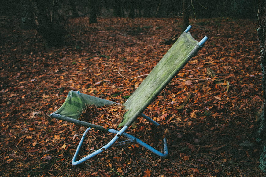 Empty green folding chair in autumn forest with fallen leaves