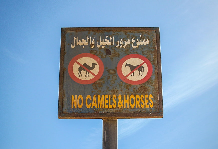Rusty No Camels and Horses Sign Against Blue Sky