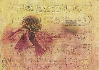 Vintage sheet music background with pink flower overlay