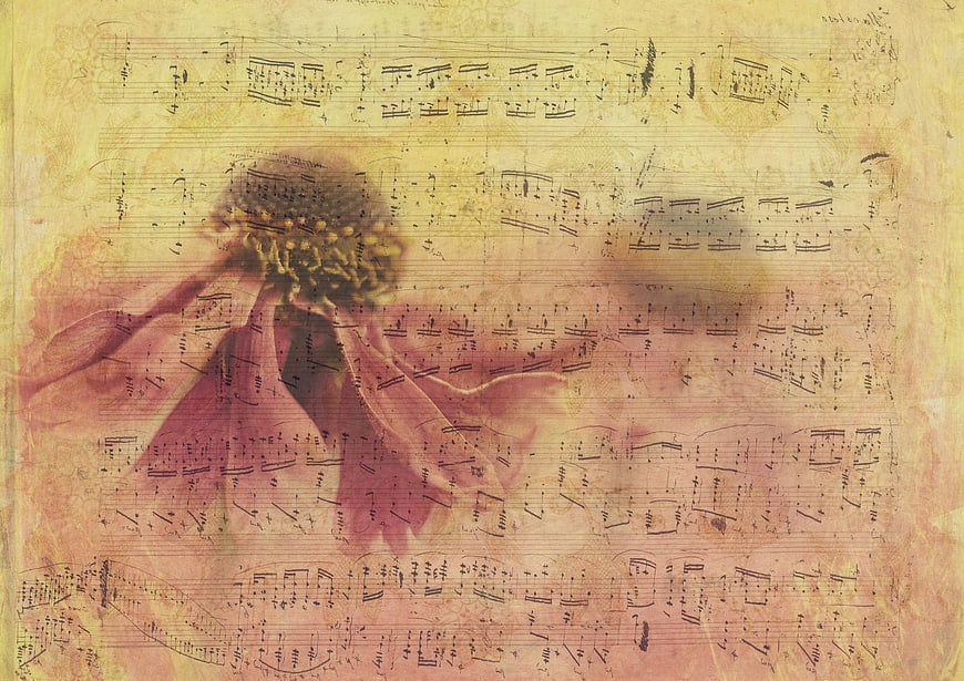Vintage sheet music background with pink flower overlay