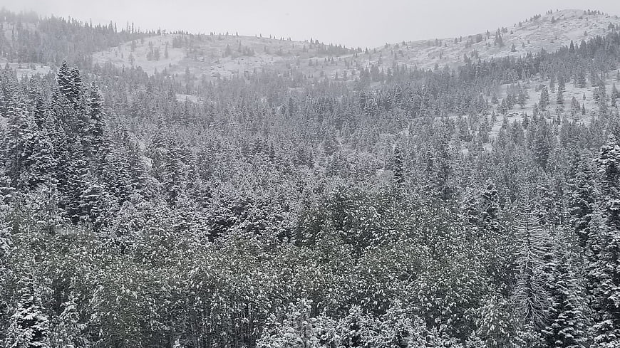 Snowy Mountain Forest Landscape in Winter