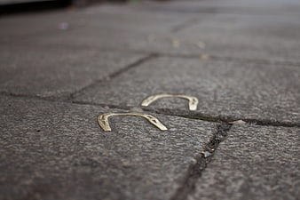 Two golden horseshoes on gray stone pavement
