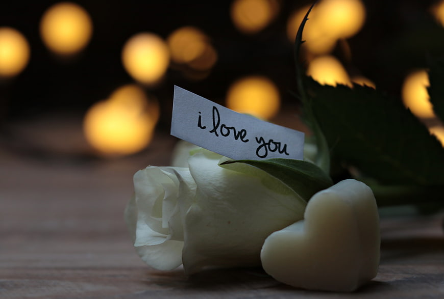 White Rose with I Love You Note and Heart Candle