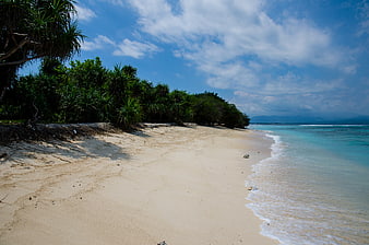 Tropical Beach with Turquoise Water and Lush Green Trees