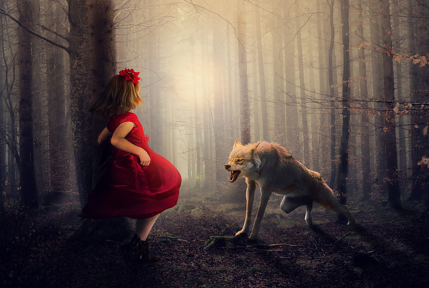 Little Red Riding Hood Confronting Wolf in Misty Forest