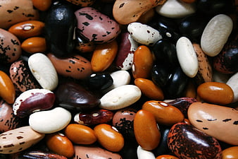 Close-up of mixed dried beans and legumes