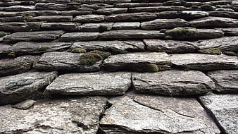 Close-up of weathered slate roof tiles with moss growth