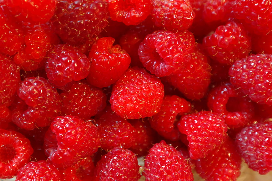 Close-up of fresh red raspberries filling the frame