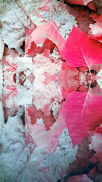 Vibrant Pink Leaves Reflected in Water