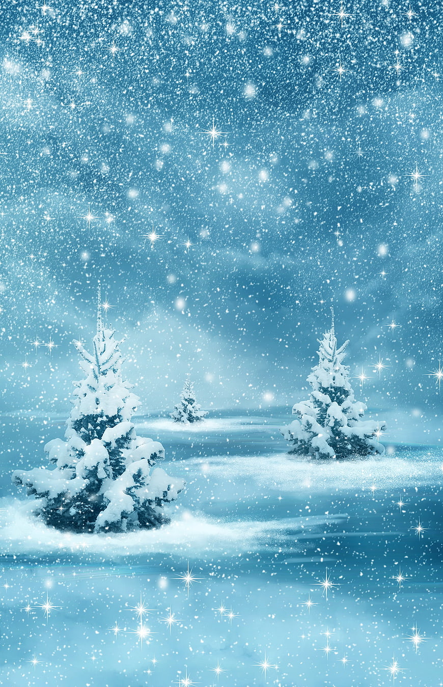 Magical Winter Wonderland with Snowy Trees and Sparkles