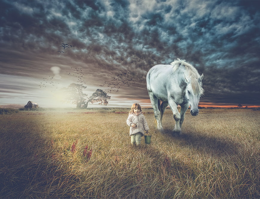 Child and white horse walking in a dramatic rural field