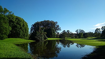 Serene pond with tree reflections in a lush green park