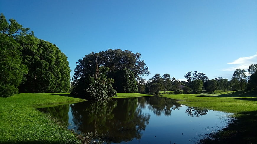 Serene pond with tree reflections in a lush green park