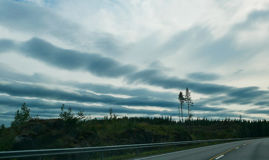 Moody Highway Road Trip Through Forest Landscape