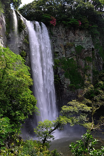 Majestic Cheonjiyeon Waterfall in Jeju Island, South Korea