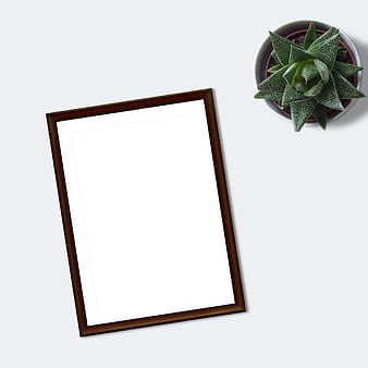 Top-Down Mockup of Wooden Frame and Succulent on White Background