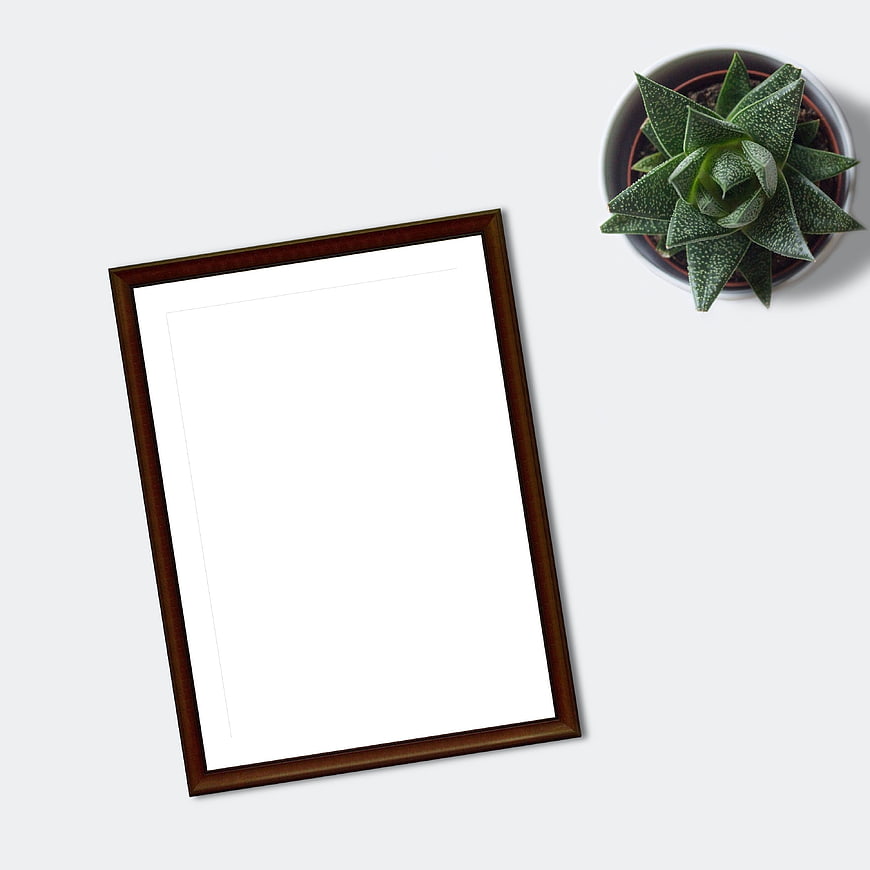 Top-Down Mockup of Wooden Frame and Succulent on White Background