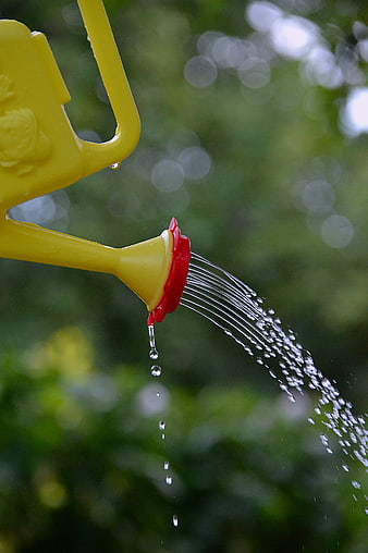 Yellow watering can pouring water in garden