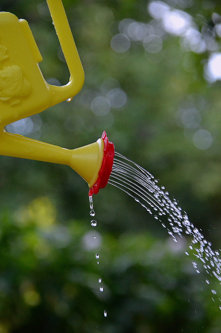 Yellow watering can pouring water in garden