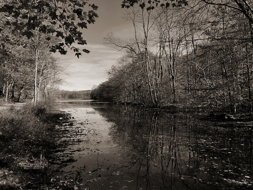 Serene Black and White River Landscape with Reflections