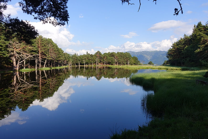 Serene Pyrenees Lake with Pine Forest Reflections