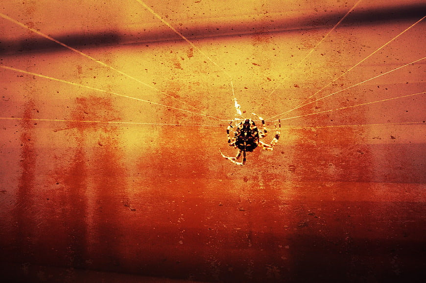 Scary Spider on Web with Vintage Grunge Texture