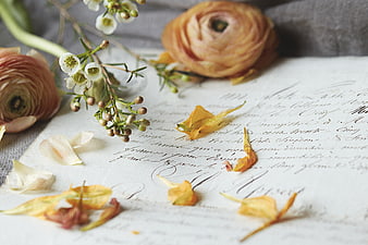 Vintage handwritten letter with ranunculus flowers and petals