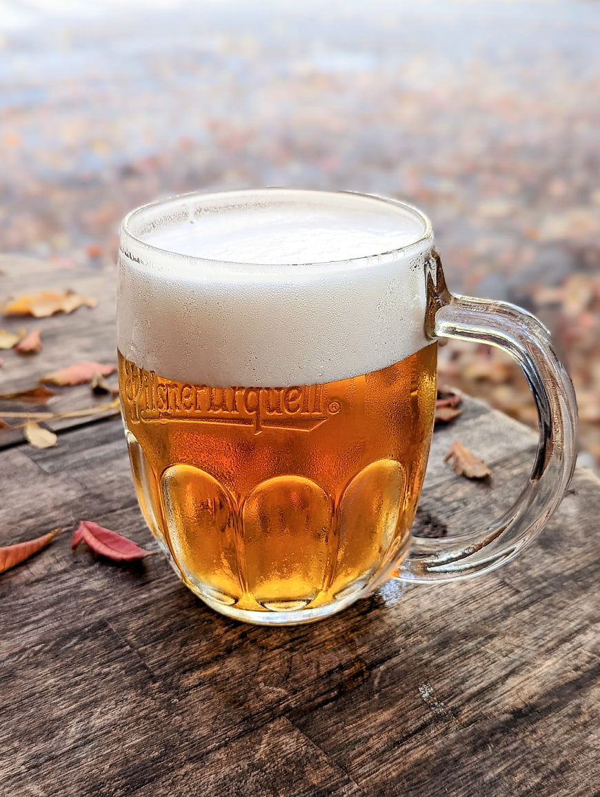Cold Pilsner Urquell beer mug on wooden table with autumn leaves
