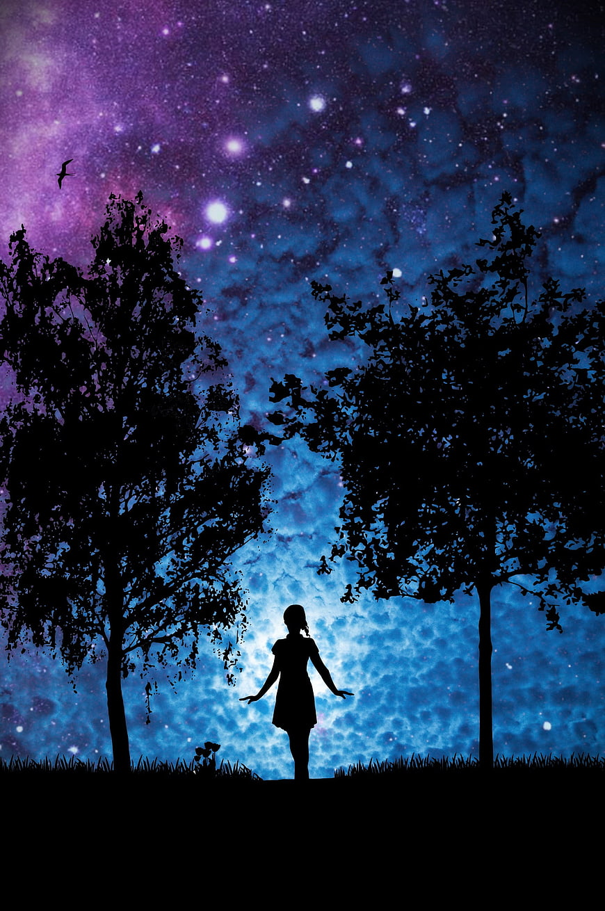 Silhouette of Girl Under Starry Night Sky