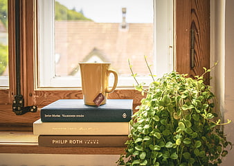 Tea cup on books by window with houseplant