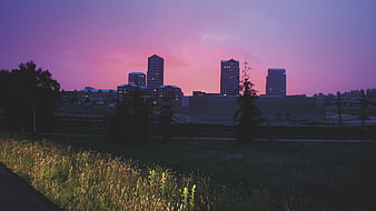 City skyline at dusk with pink purple sky and grassy foreground