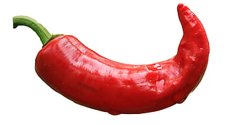 Fresh Red Chili Pepper Isolated on White Background