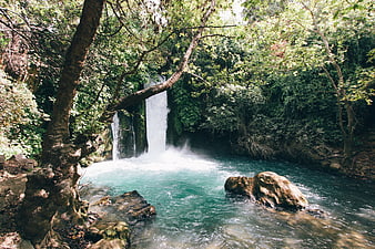 Serene waterfall cascading into turquoise pool in lush forest