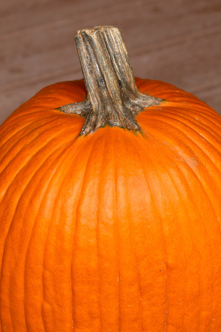 Close-up of a ripe orange pumpkin with textured stem