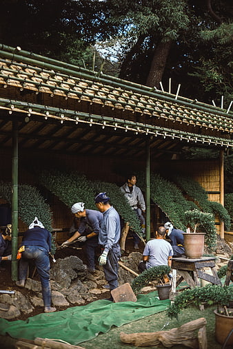 Japanese gardeners constructing traditional bamboo structure