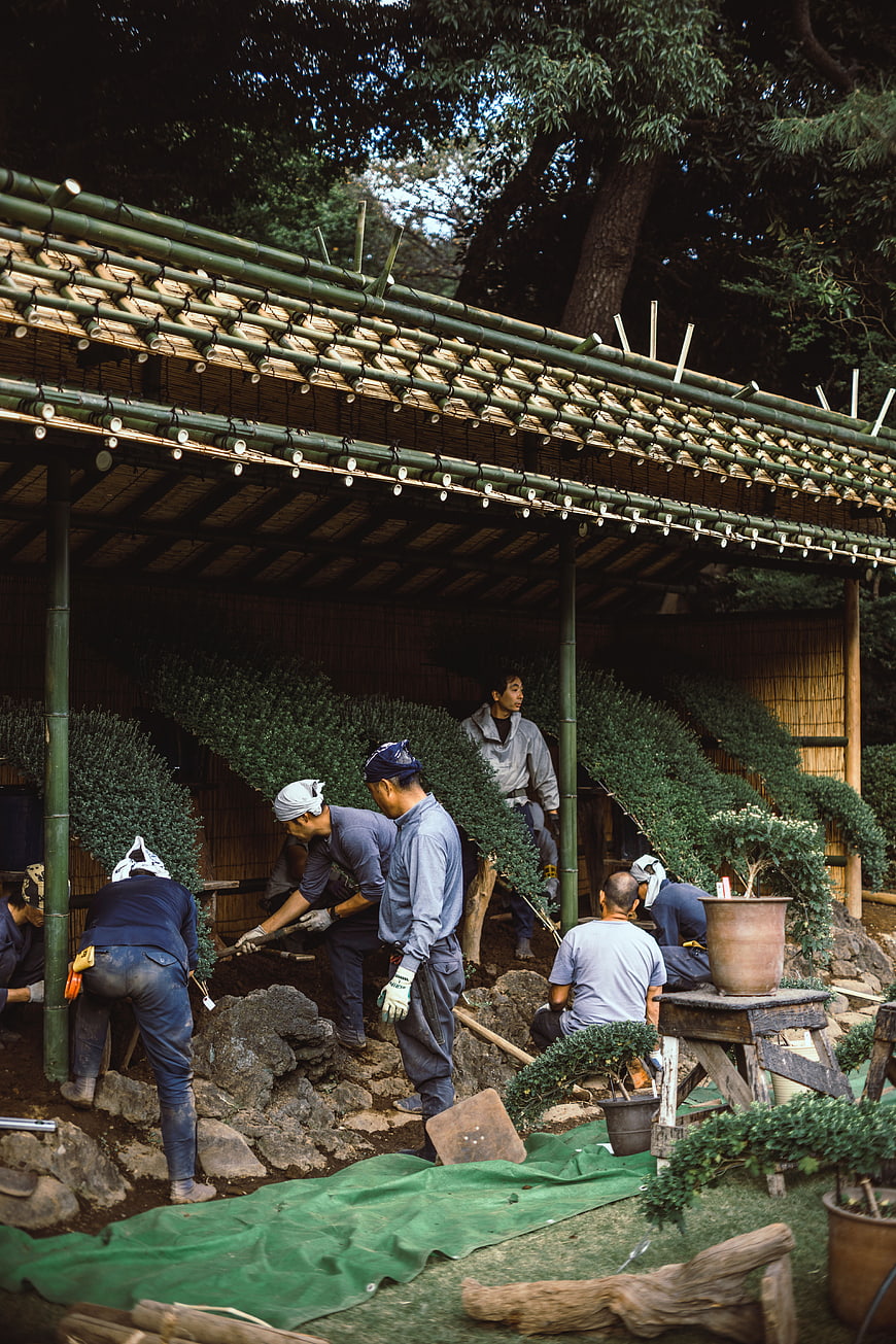 Japanese gardeners constructing traditional bamboo structure