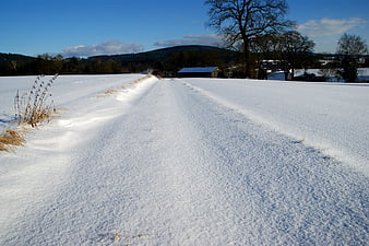 Snowy Country Path Leading to Barn in Winter Landscape