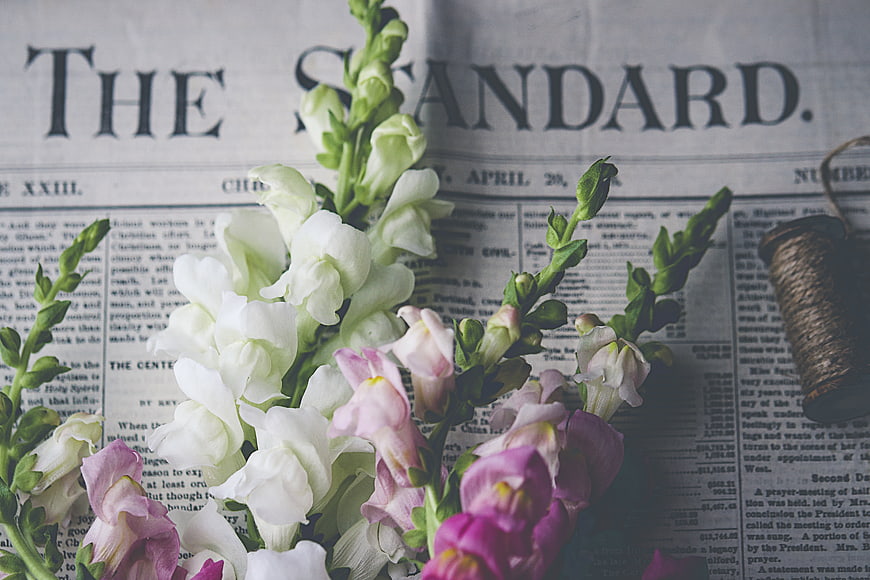 Vintage Freesia Flowers on Old Newspaper Background