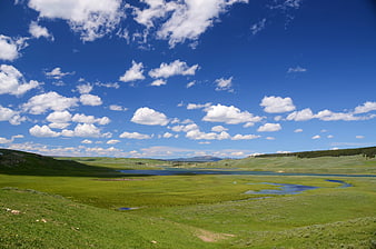 Vibrant Green Meadow and Lake Under Blue Sky