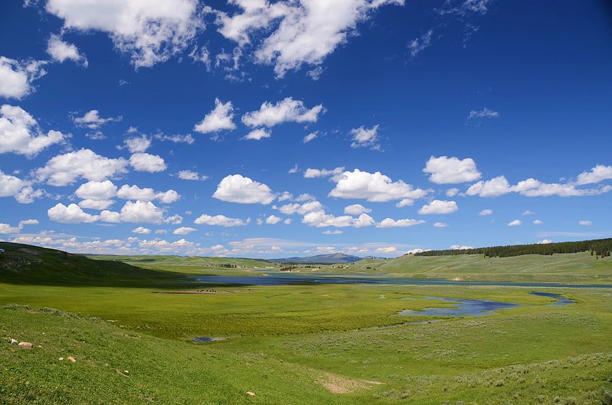 Vibrant Green Meadow and Lake Under Blue Sky