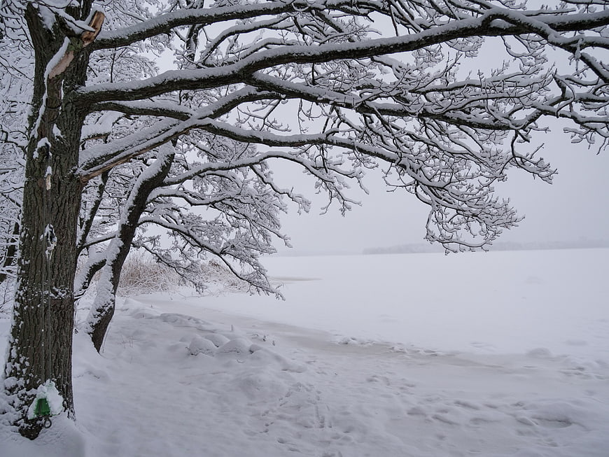 Snowy Winter Landscape with Frozen Lake and Trees
