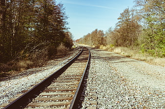 Curved Railway Tracks Through Autumn Forest