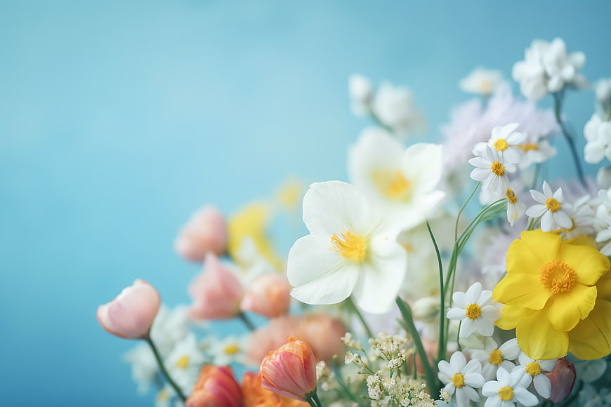 Spring Flower Bouquet on Blue Background with Copyspace