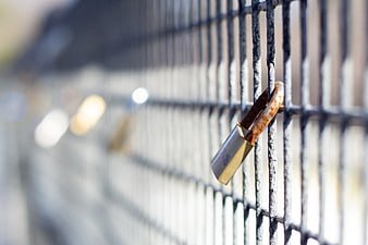 Rusty Padlock on Metal Fence Security Concept