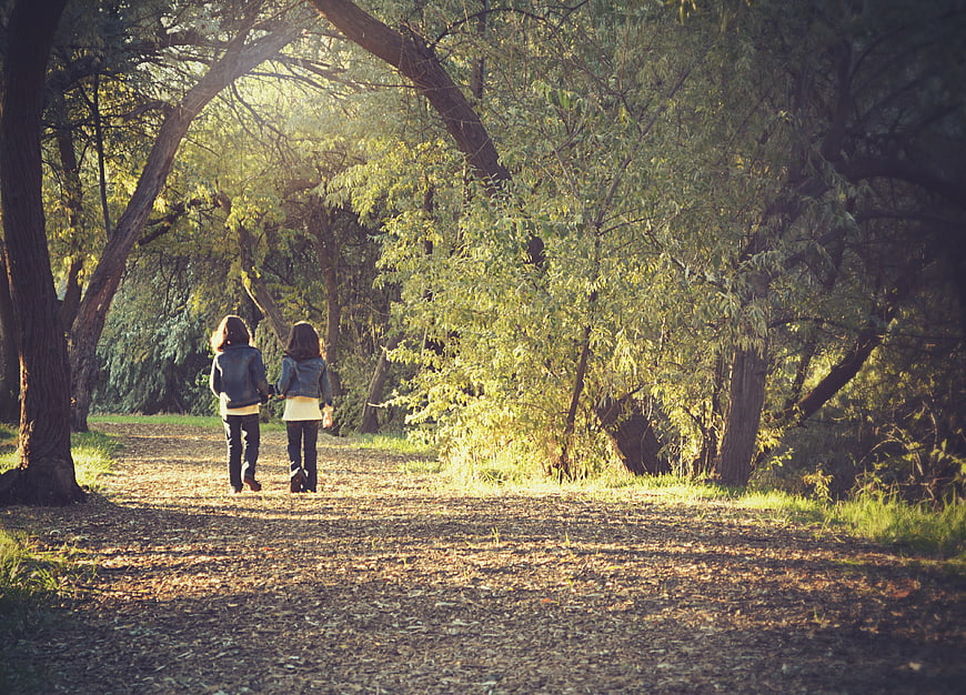 Two girls walking away on a sunlit autumn forest path