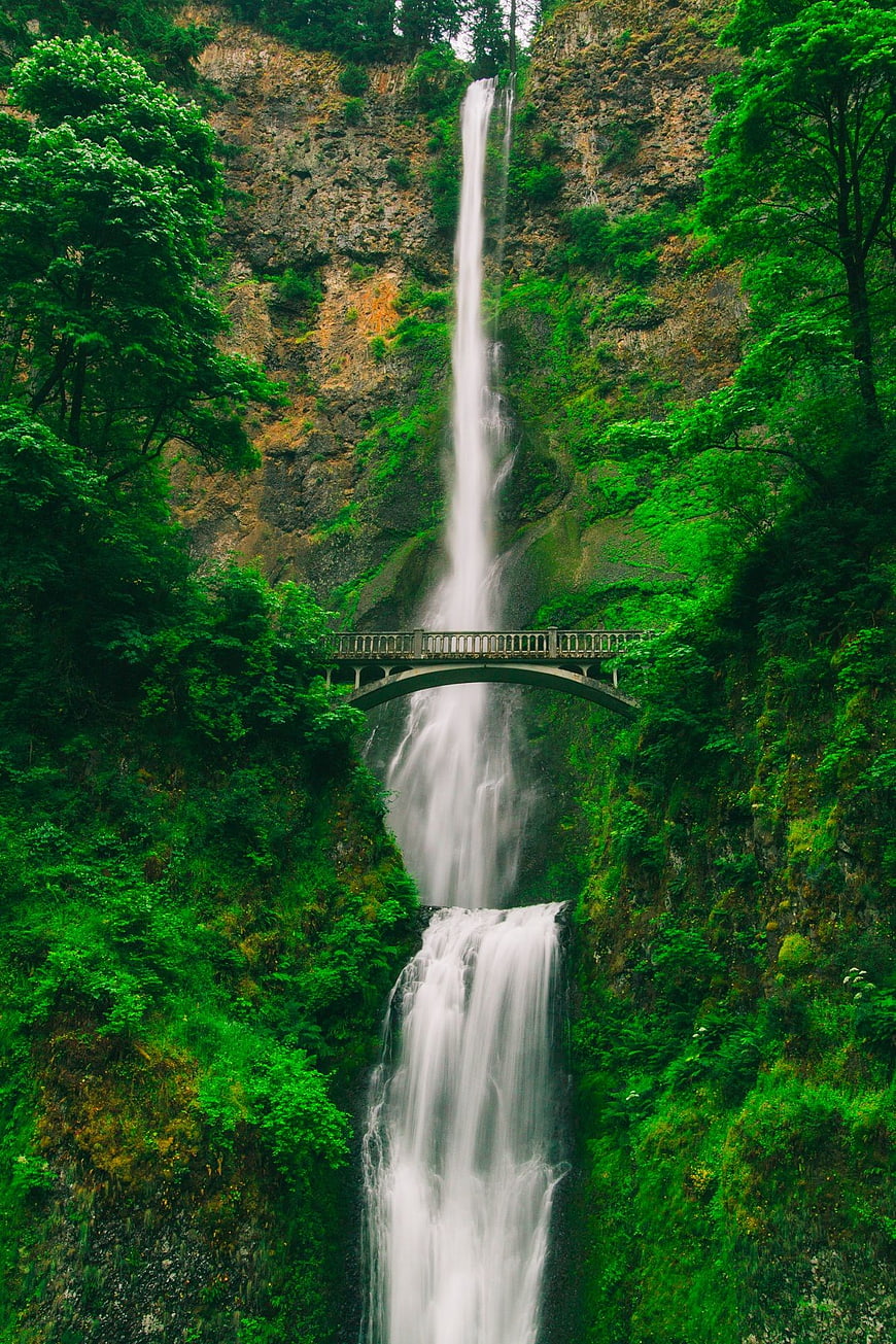 Tall waterfall cascading behind a stone bridge in lush green forest