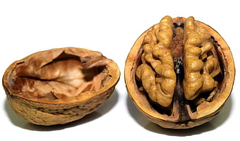 Cracked Walnut with Shell on White Background